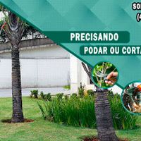 Quintal Clean