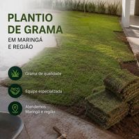 A.A jardinagem e poda de árvores