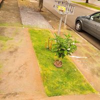 Belo Jardim, Serviços de Jardinagem: Vinicius Martins