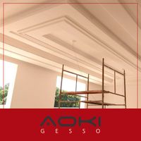 Gesso Aoki