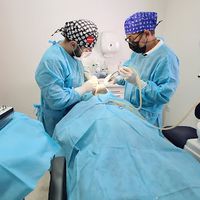 Ilustri odontologia