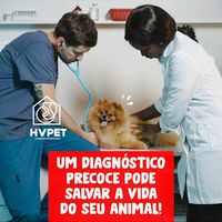 HVPet Hospital Veterinário 24 horas em Londrina