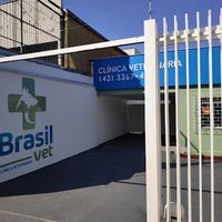 Brasil Vet - Clínica Veterinária