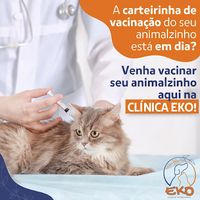 EKO HOSPITAL VETERINÁRIO