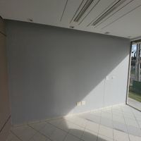 P.S. Pedrotti Pinturas