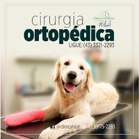 Clínica Hilst I Clínica Veterinária 24h