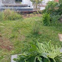 De Souza Cortes de Grama e Jardinagem