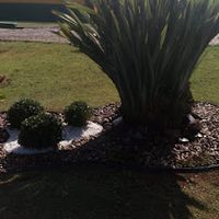 Fiorentin Jardinagem