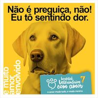 Hospital Veterinários com amor
