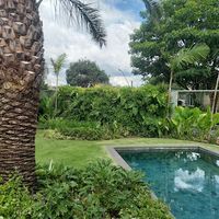 Raizáli jardinagem