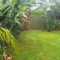 Roma - Jardinagem
