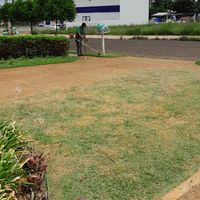 FC Serviços de Jardinagem, Manutenção e Reformas Londrina